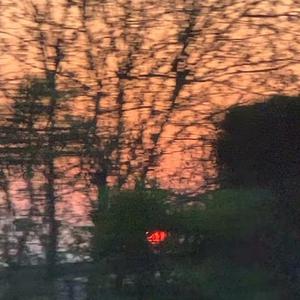 激情视频在线免费观看8852
